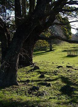 Blackwood Park Cottages Chudleigh Экстерьер фото